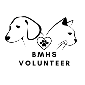 BMHS Volunteers 